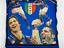Immagine 4