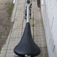 bici da corsa bottecchia