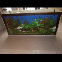 Acquario uso commerciale oppure in casa