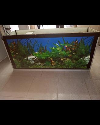 Acquario uso commerciale oppure in casa