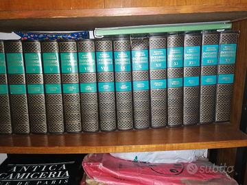 Enciclopedia Universale Rizzoli Larousse 15 volumi