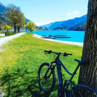 giant e-bike e trance+