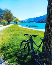 giant e-bike e trance+