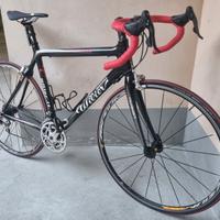 Bici da corsa Wilier Triestina Mortirolo carbonio