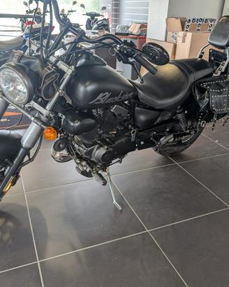 Custom 250 usato