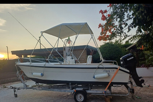 Barca motore e carrello omologato