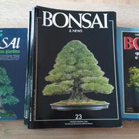 Bonsai 2 libri più 13 riviste
