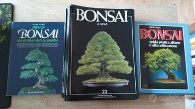 Bonsai 2 libri più 13 riviste