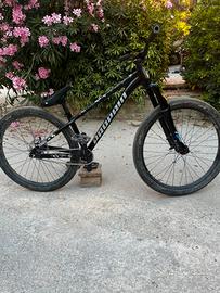propain dirt jump
