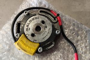 Selettra Malossi MHR Team 2 AM6