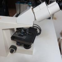 Microscopio professionale