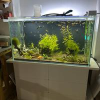 Acquario completo da 430 litri