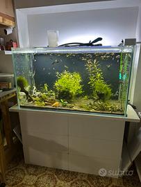 Acquario completo da 430 litri