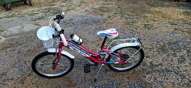Bicicletta