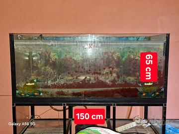 Acquario con depuratore Tetra