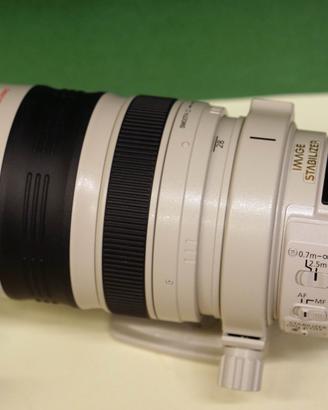 Canon EF 28/300 L IS USM