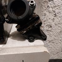 honda dio collettore 