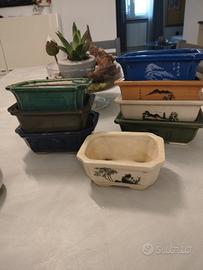vasi piccoli per bonsai