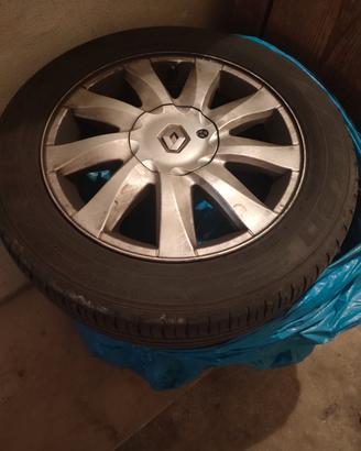 gomme estive 