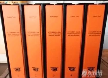 preparazione per consulente ambientale  ADR