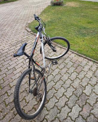Mountain bike 