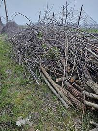 legna da fuoco circa 4 alberi  