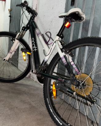 Bicicletta