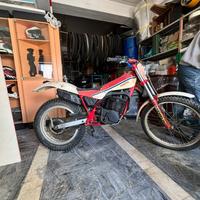 Trial fantic motor 301