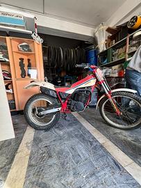 Trial fantic motor 301