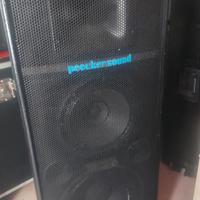 Casse passive PEECKEE SOUND