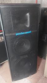 Casse passive PEECKEE SOUND