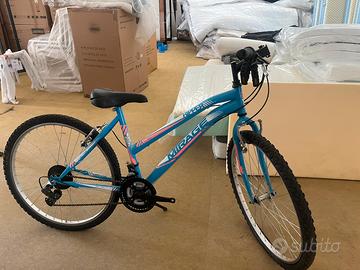 Bicicletta