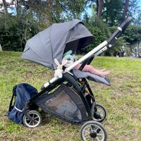 Trio Inglesina Electa Darwin