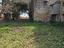 Immagine 11