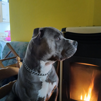 Disponibile per monte