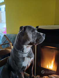 Disponibile per monte