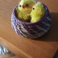 Cestino con pulcini