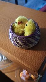 Cestino con pulcini