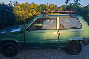Panda 900 young 