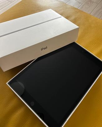 Apple Ipad