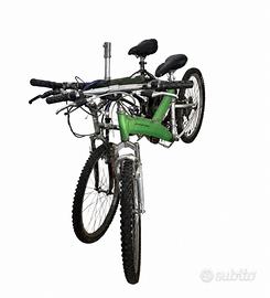 Mountain bike e bicicletta