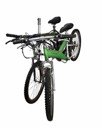 Mountain bike e bicicletta