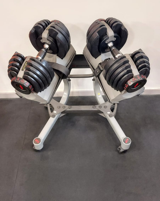 Manubri Bowflex palestra- pesi