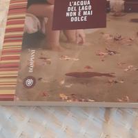 L'acqua del lago non è  mai dolce di Giulia Camini