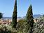 Immagine 14