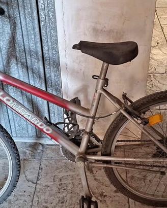 Bicicletta