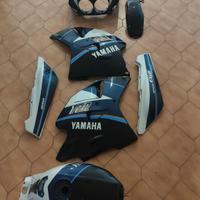 carene Yamaha fzr 1000 exup