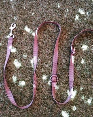 Guinzaglio da addestramento, lunghezza 2m