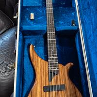 basso Tune, TWB top in zebrano attivo 18 volt