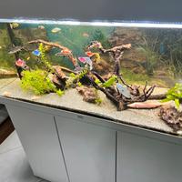 Acquario juwel 180